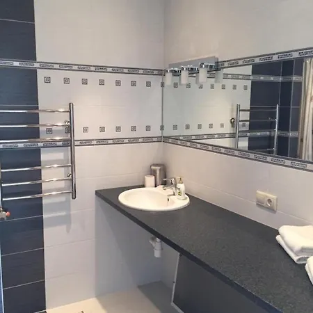 Mickeviciaus 8 דירה *