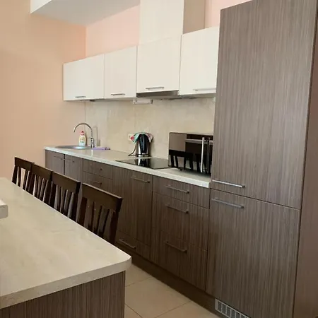 דירה Mickeviciaus 8