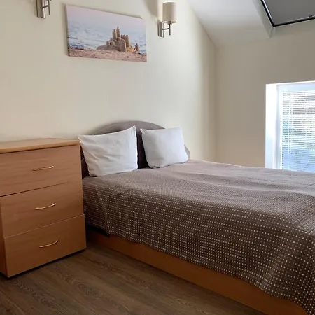 Mickeviciaus 8 דירה