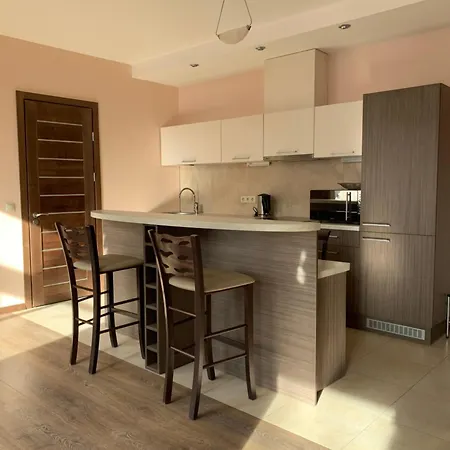 Mickeviciaus 8 Апартаменты *