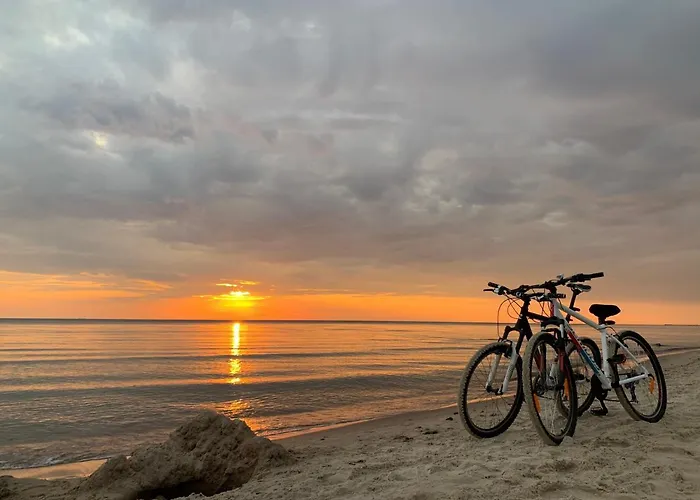 Mickeviciaus 8 Apartment *