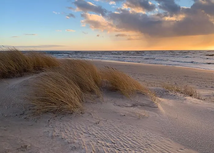 Mickeviciaus 8 Palanga