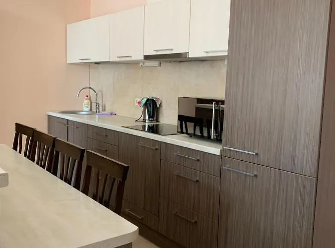 Apartment Mickeviciaus 8